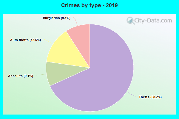 Crimes by type - 2019