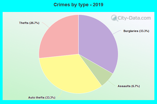 Crimes by type - 2019