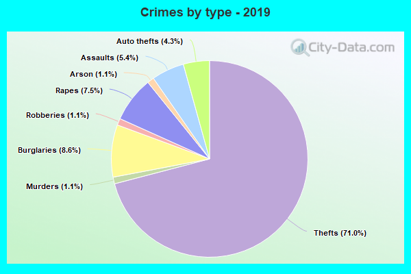 Crimes by type - 2019