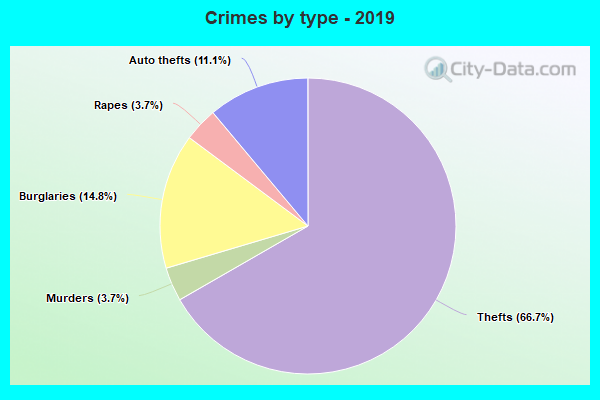 Crimes by type - 2019