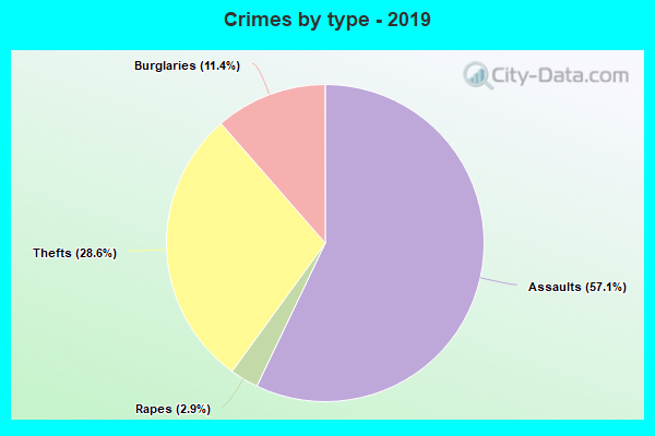 Crimes by type - 2019