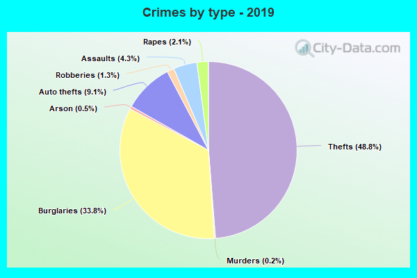 Crimes by type - 2019