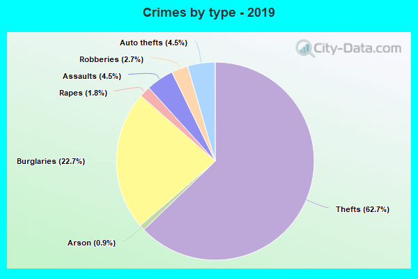 Crimes by type - 2019