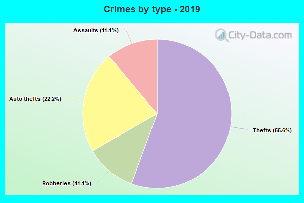 Crimes by type - 2019