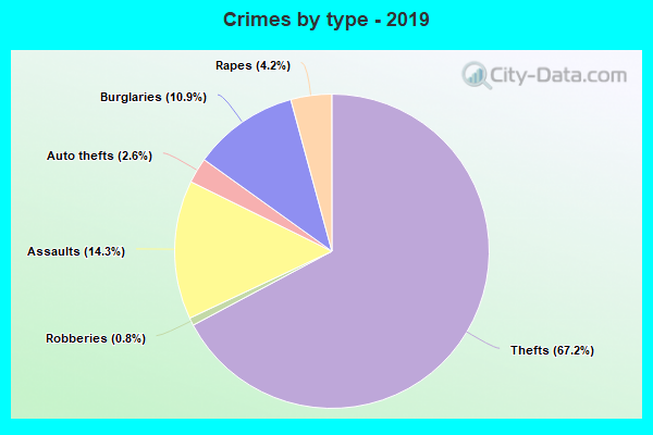 Crimes by type - 2019