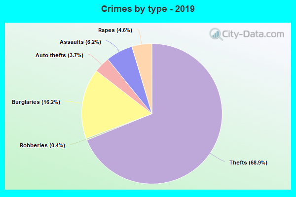 Crimes by type - 2019