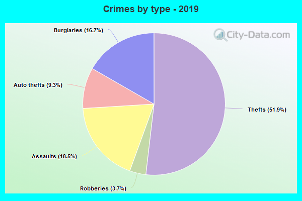 Crimes by type - 2019