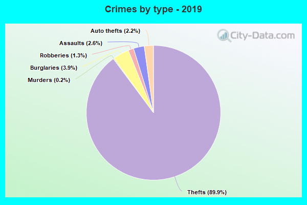 Crimes by type - 2019