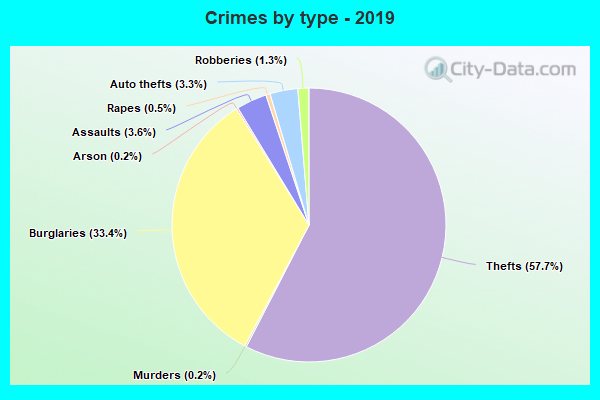 Crimes by type - 2019