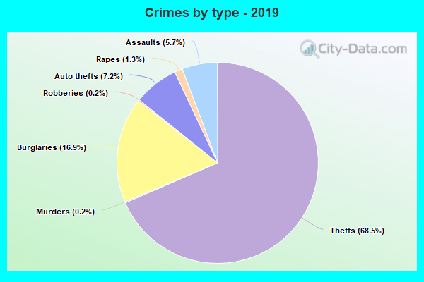 Crimes by type - 2019