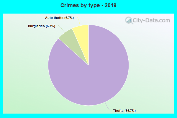 Crimes by type - 2019