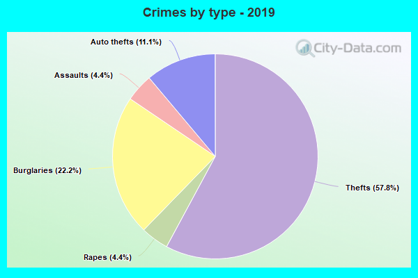 Crimes by type - 2019