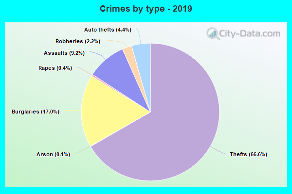 Crimes by type - 2019