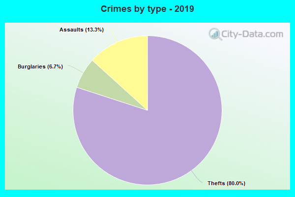 Crimes by type - 2019