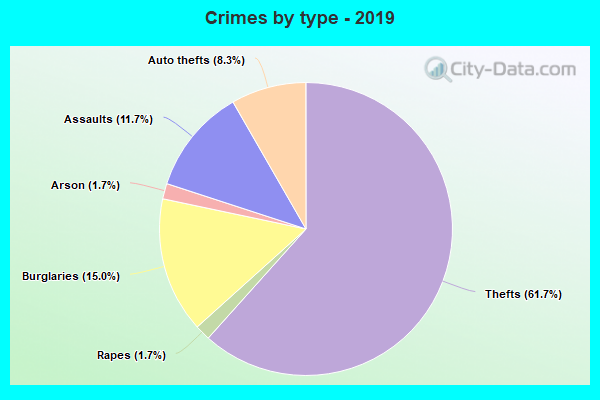 Crimes by type - 2019