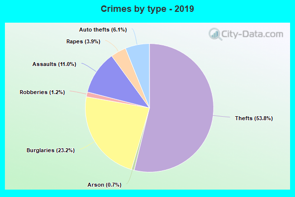 Crimes by type - 2019