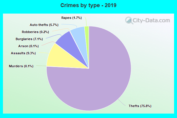 Crimes by type - 2019