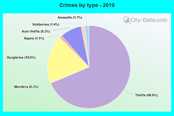 Crimes by type - 2019