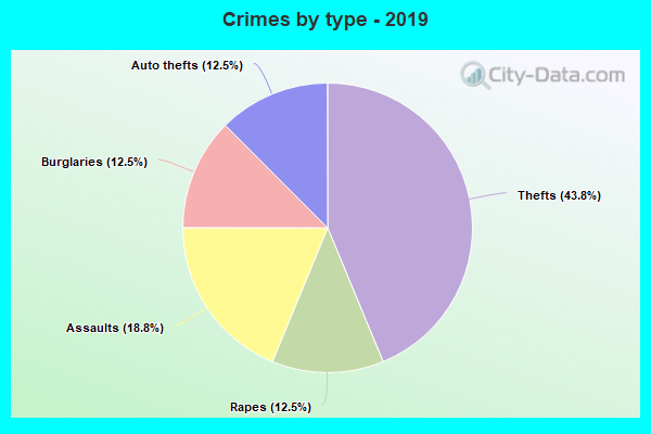 Crimes by type - 2019