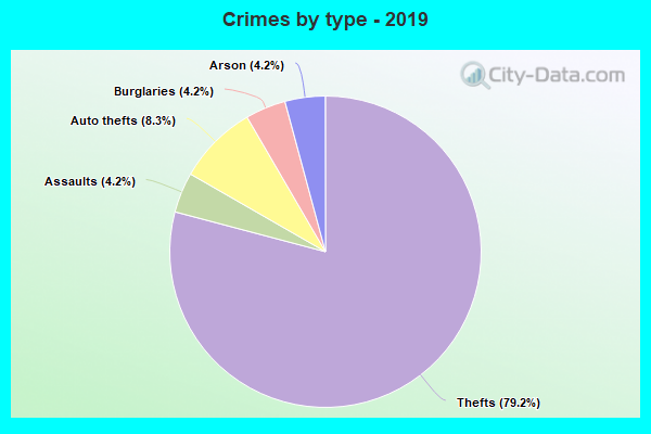 Crimes by type - 2019