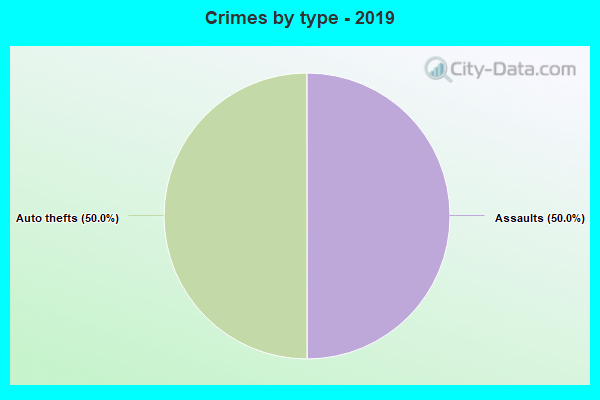 Crimes by type - 2019