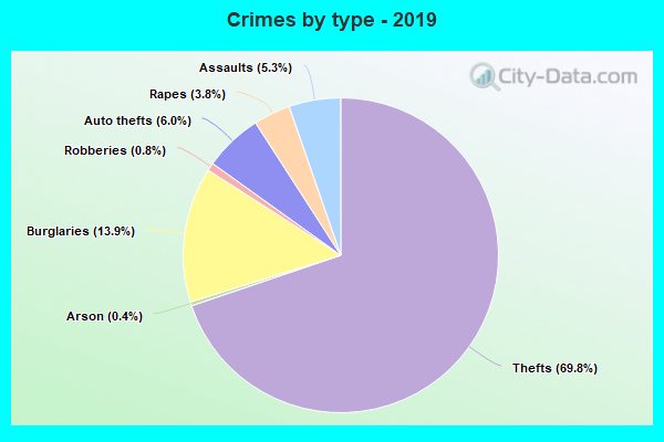 Crimes by type - 2019