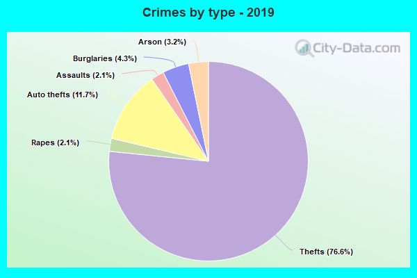 Crimes by type - 2019