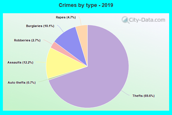 Crimes by type - 2019