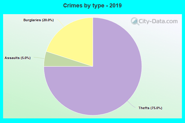 Crimes by type - 2019