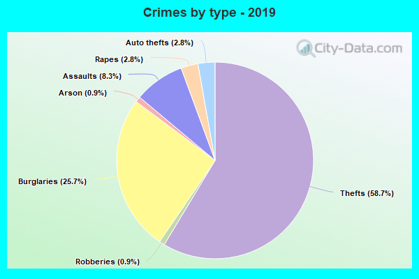 Crimes by type - 2019