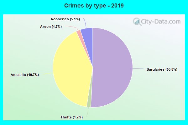 Crimes by type - 2019