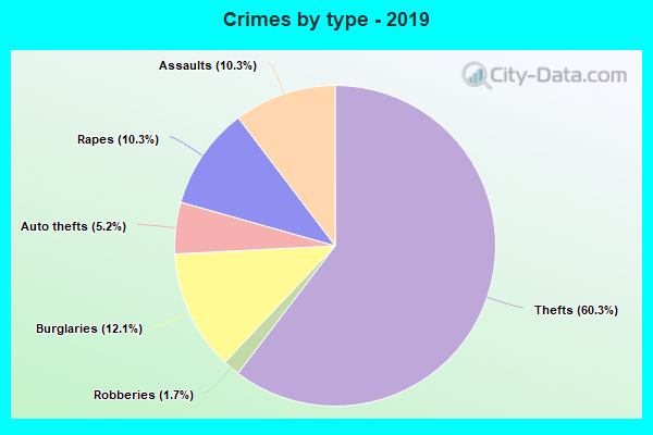 Crimes by type - 2019