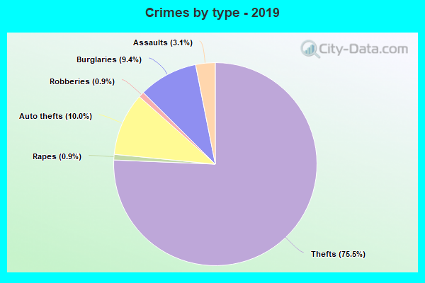 Crimes by type - 2019