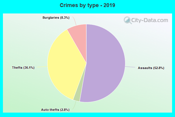 Crimes by type - 2019