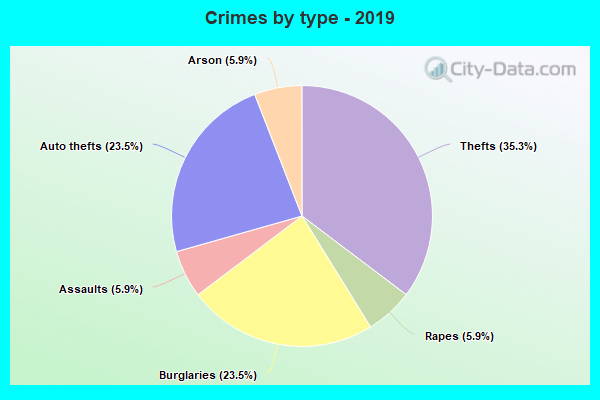 Crimes by type - 2019