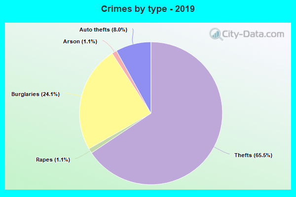 Crimes by type - 2019