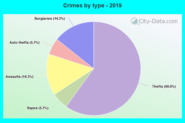 Crimes by type - 2019