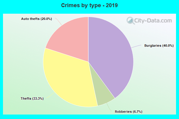 Crimes by type - 2019