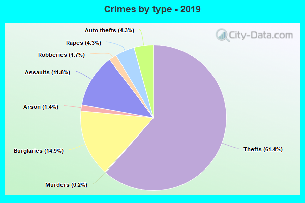 Crimes by type - 2019