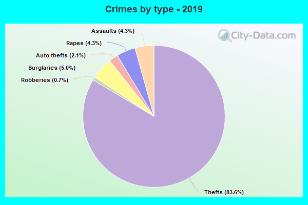 Crimes by type - 2019