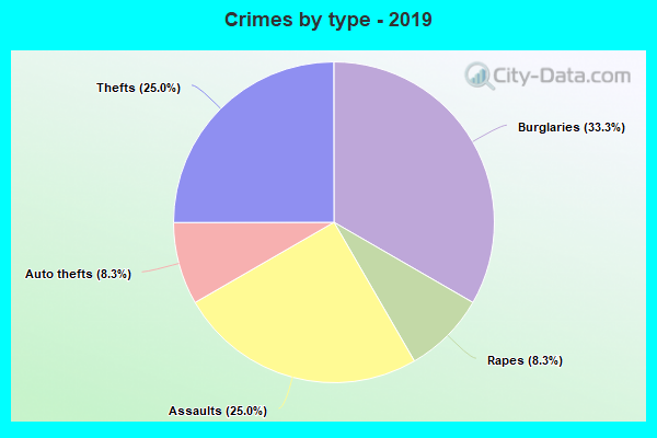 Crimes by type - 2019