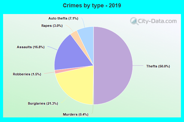 Crimes by type - 2019