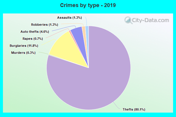 Crimes by type - 2019