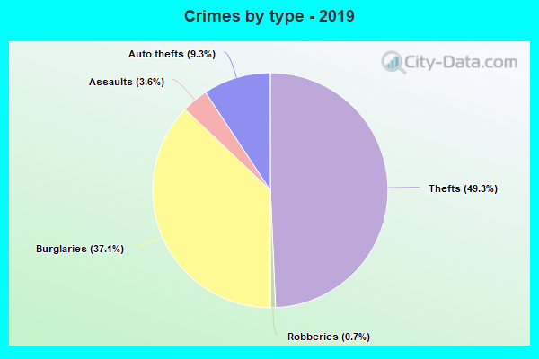 Crimes by type - 2019