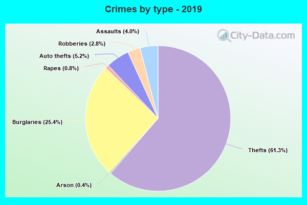 Crimes by type - 2019