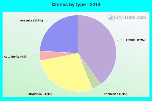 Crimes by type - 2019