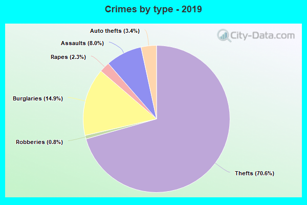 Crimes by type - 2019