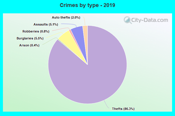 Crimes by type - 2019