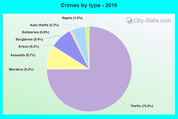 Crimes by type - 2019