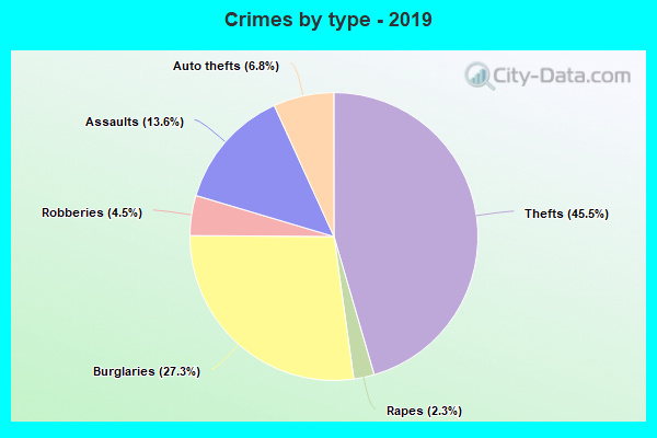 Crimes by type - 2019